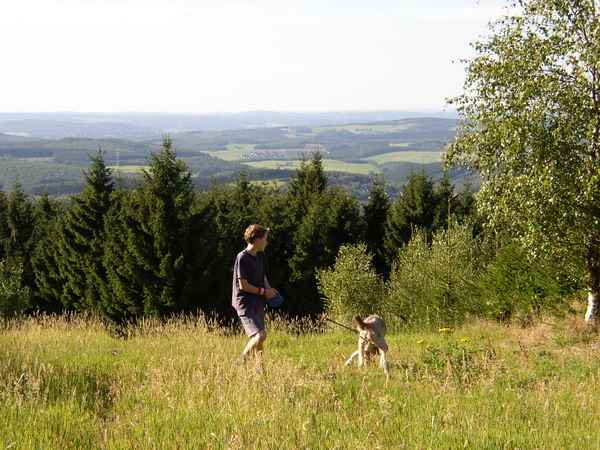 Am Rothaarsteig