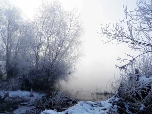 Januarmorgen am Fluss