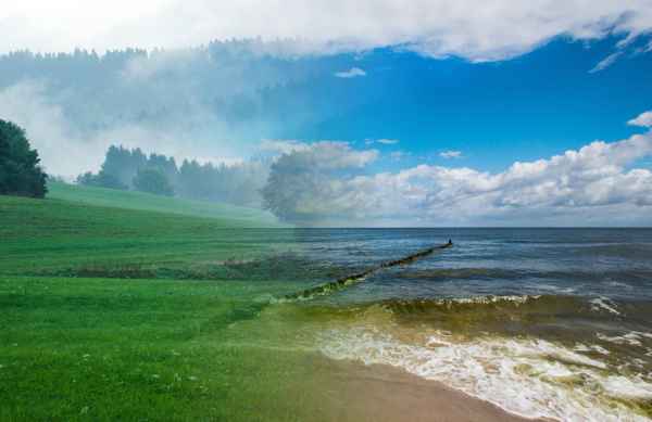 Wiese, Wald und Meer