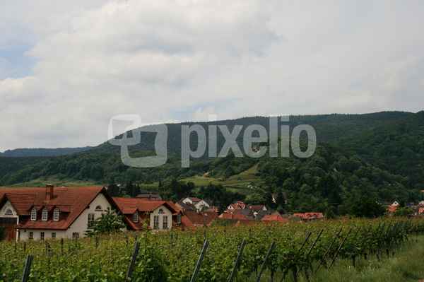 st.martin....an der südl.weinstraße
