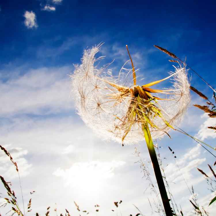 Sommer-feeling