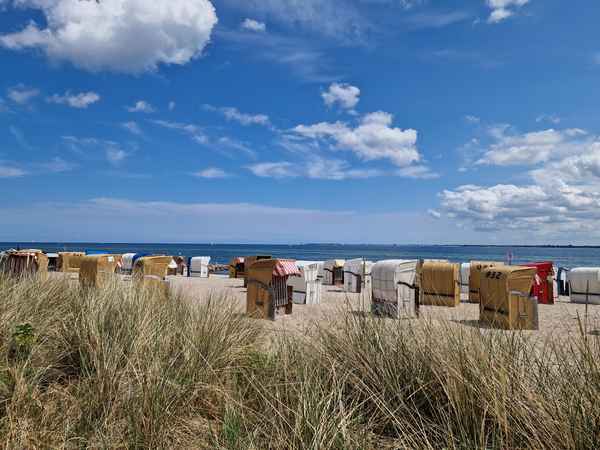 Strandkörbe im Sommer