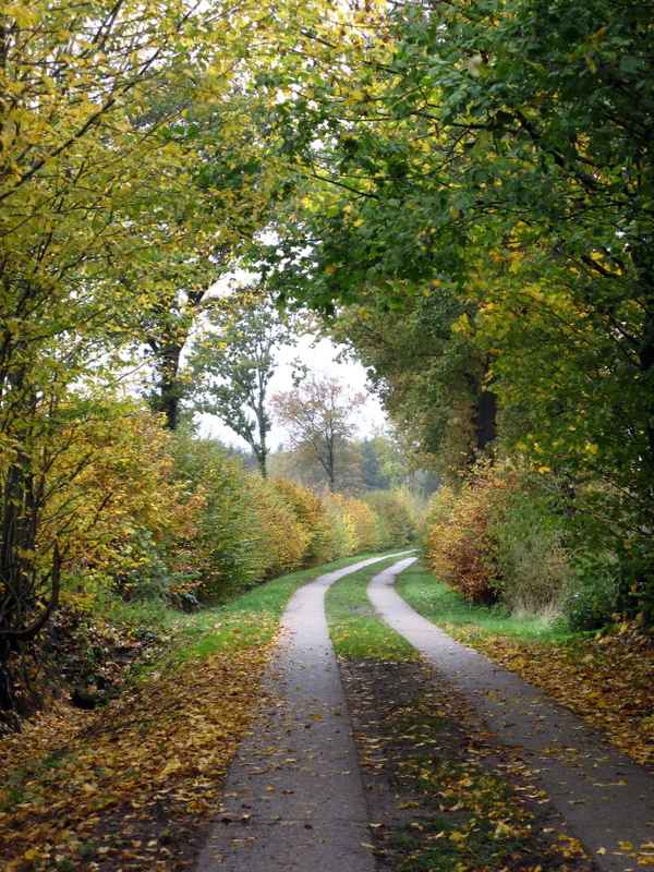 Herbstspaziergang