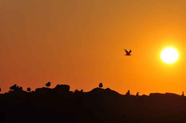 "Sandmännchen" kommt gleich
