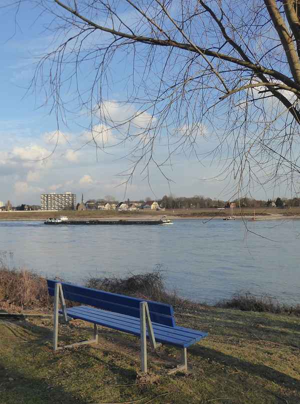 Bank am Rhein