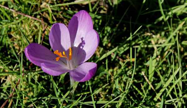 licht und schattenspiele  6