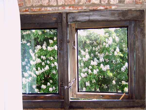 Ausblick in den Frühling