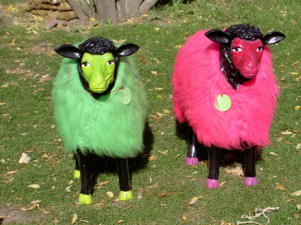 Ein buntes Paar