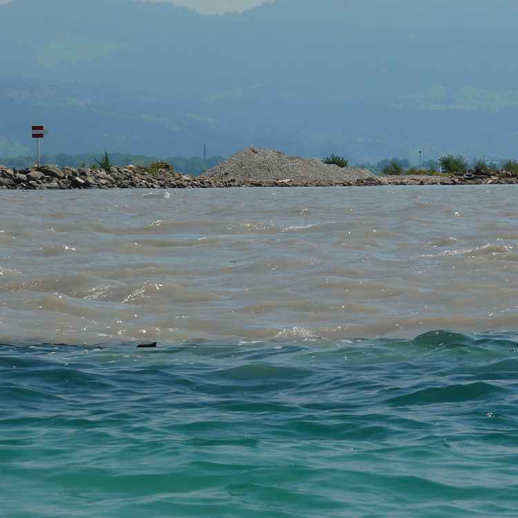 Am Einfluss des Alpenrheins in den Bodensee