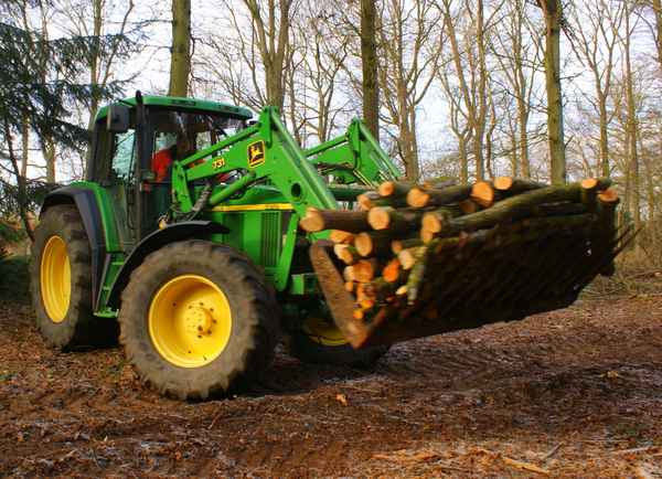 Abtransport aus dem Wald