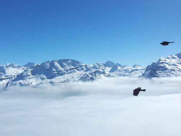 Flug über dem Nebel