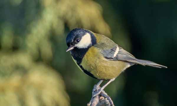 Bitte recht freundlich