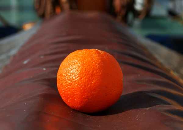 Seemann schütz dich vor Skorbut