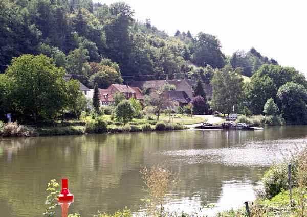 Neckar bei Neckarhausen