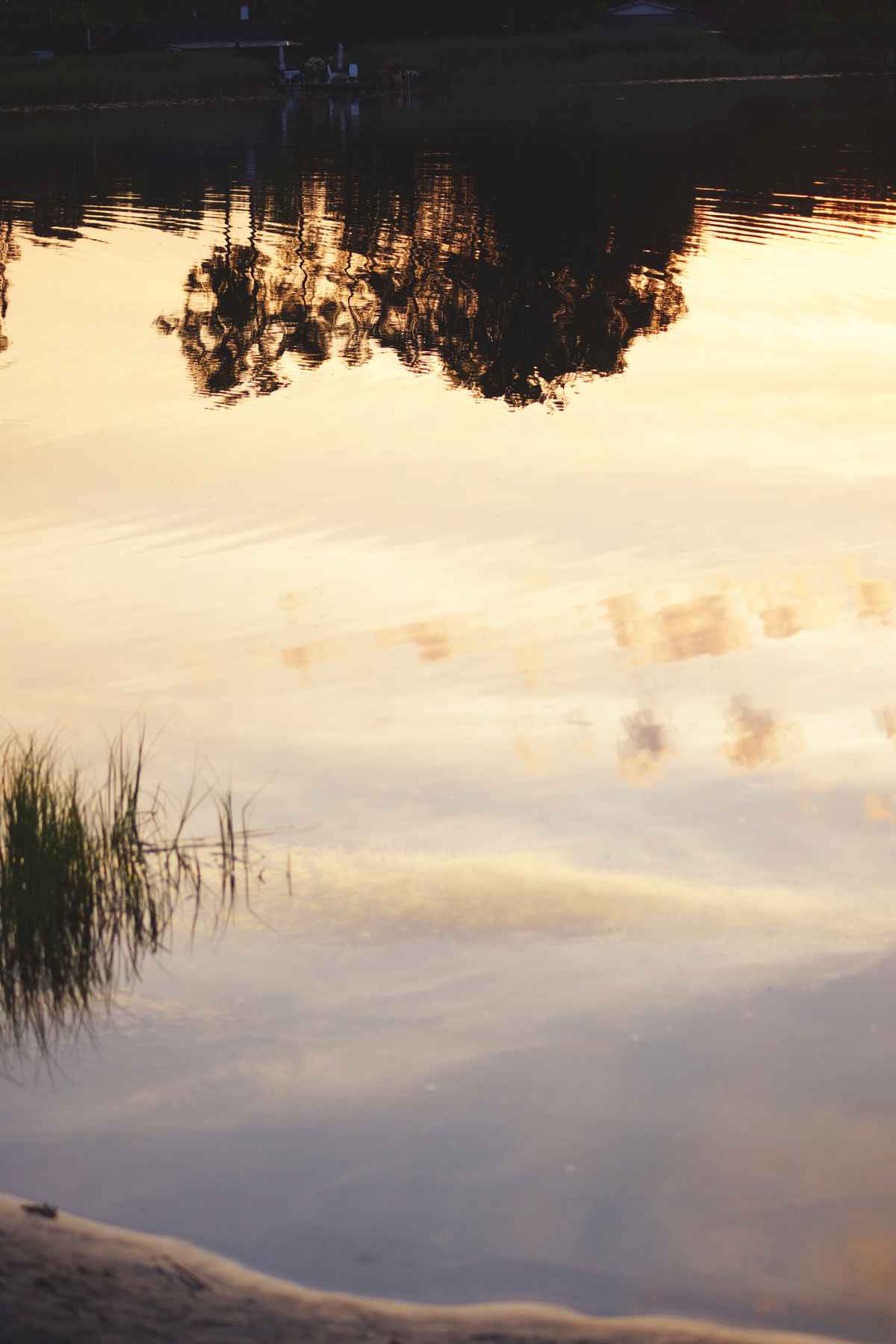 Monet Natura