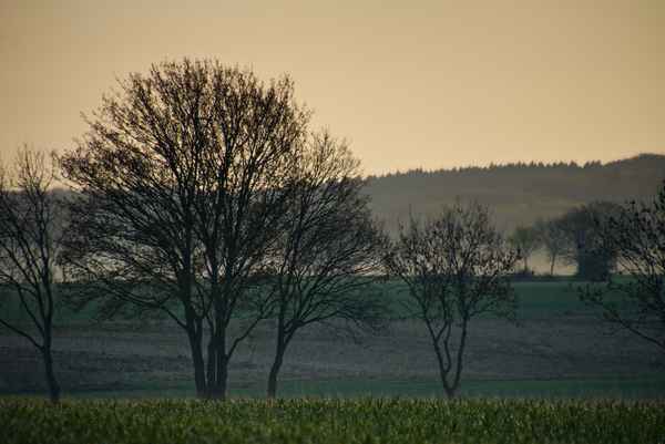 Noch liegt Nebel über dem Land ...