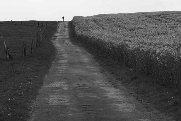 Der Weg ist das Ziel