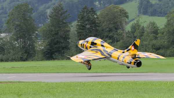 Tigerhunter  beim Start