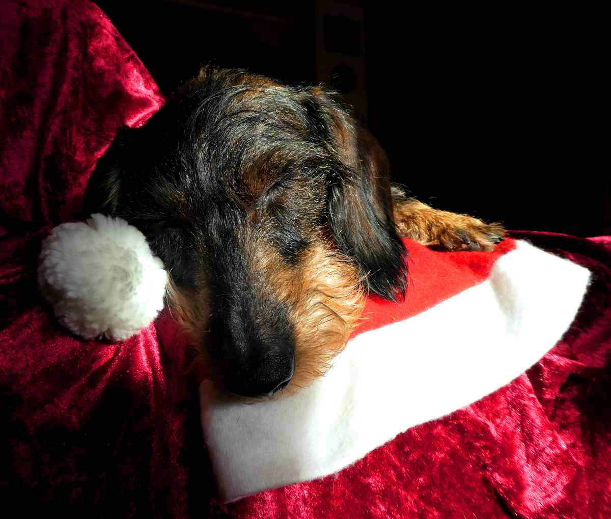 Warten auf Weihnachten