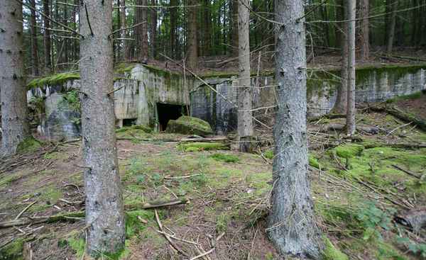 Alter Bunker des Westwalls