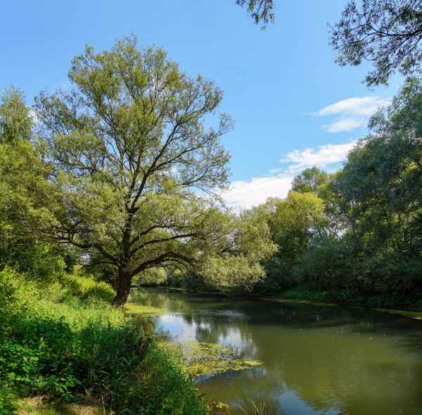 An der Lippe bei Lippstadt