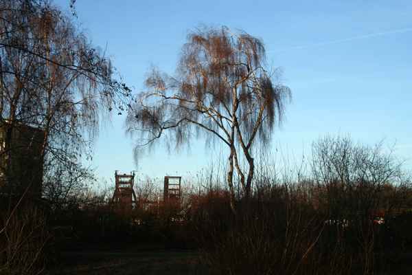 Untergang einer Industrie