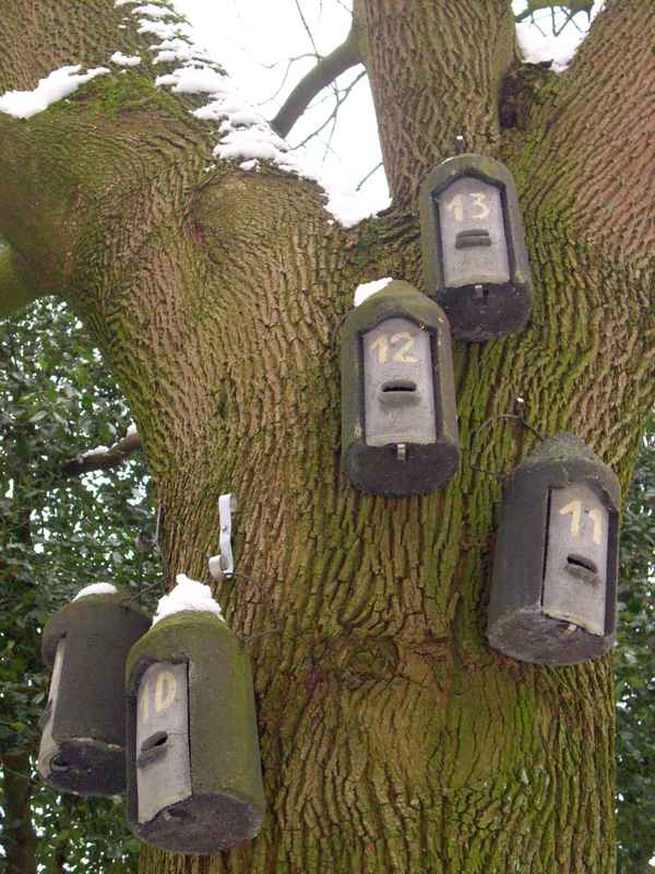 Einzimmerwohnungen frei