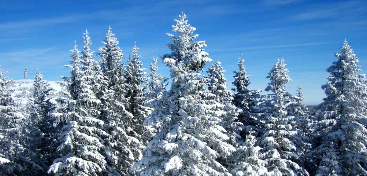 Winterzauber am Feldberg
