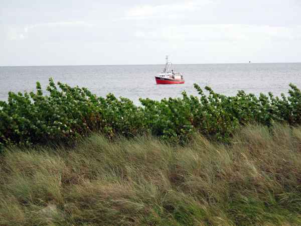 Patrouillenboot vor der Küste