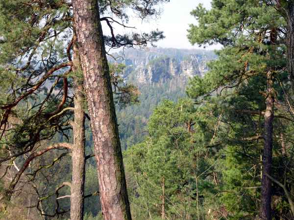 Felswelt auf dem Malerweg in Sachsen