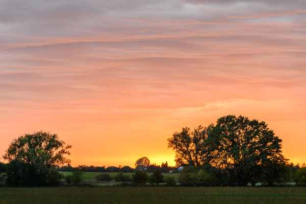  Abendlicht
