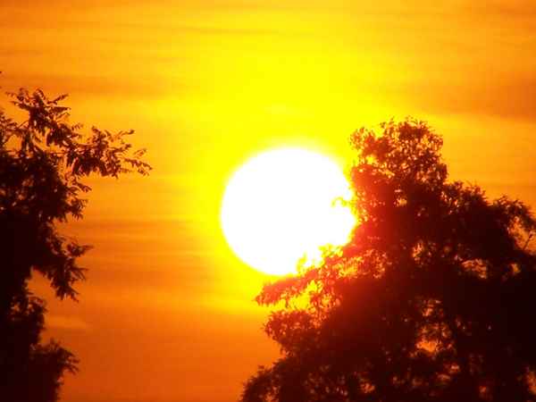 Sonne erwacht!_6
