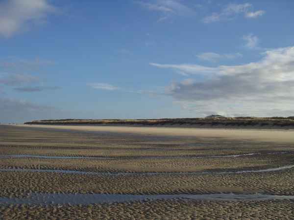 Ebbe am Meer / Nordsee