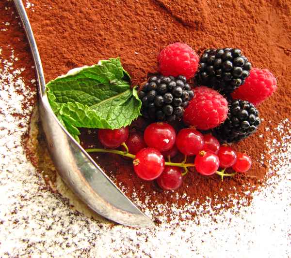 Tiramisu mit Frucht-Deko 2