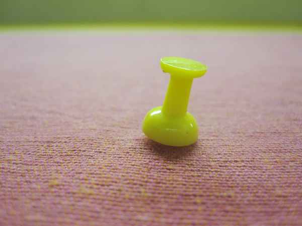 Pin