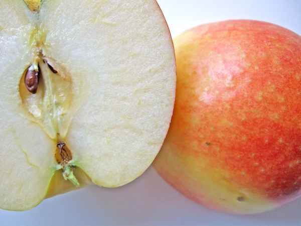 Apfel_2