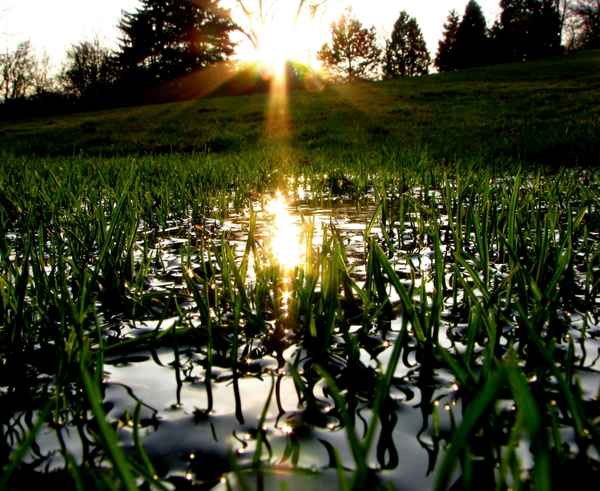 Licht