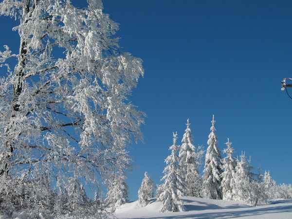 Schwarzwaldwinter_2