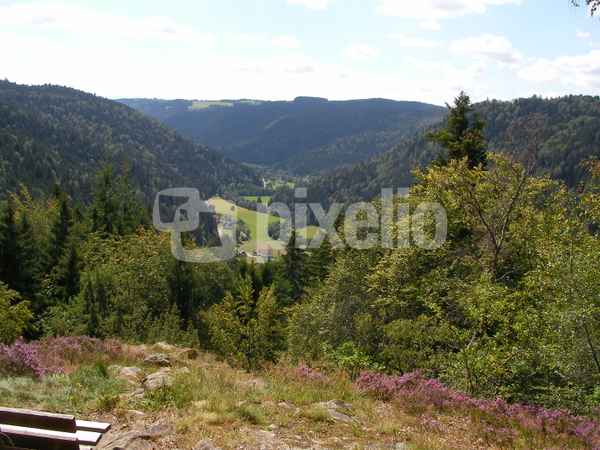 Schwarzwaldtal
