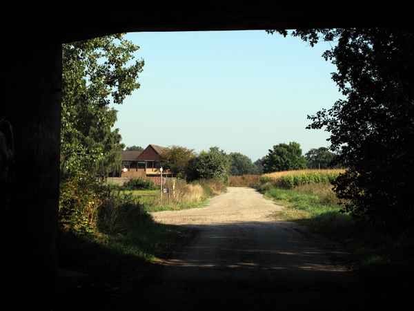 Blick aus dem Tunnel-1