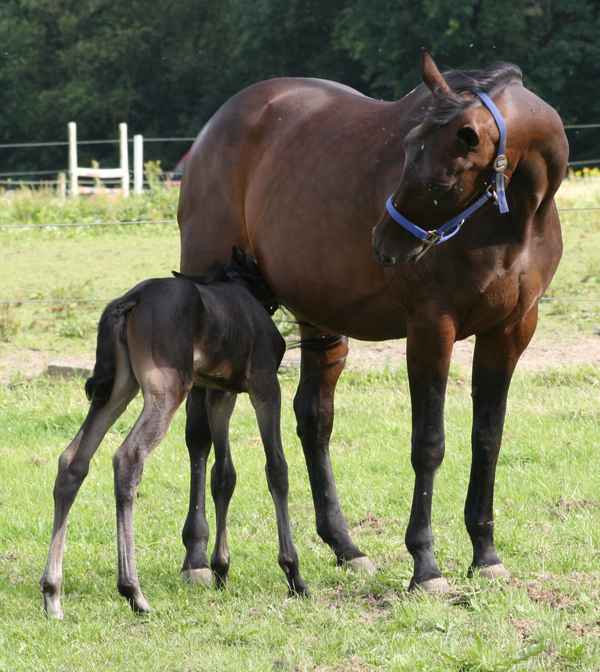Velvet & Mom