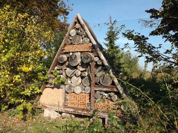 Ein Insektenhotel