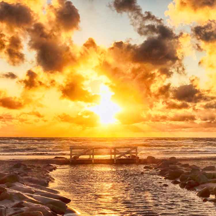 Golden sunset