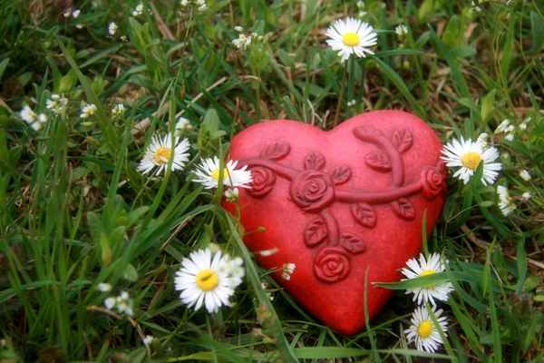 Herz und Blumen