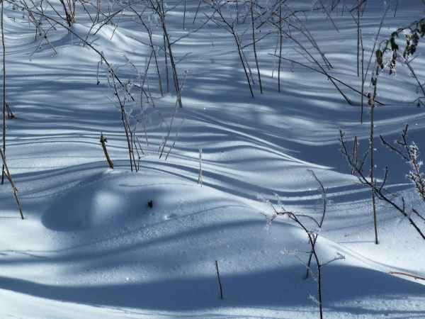 Licht und Schatten