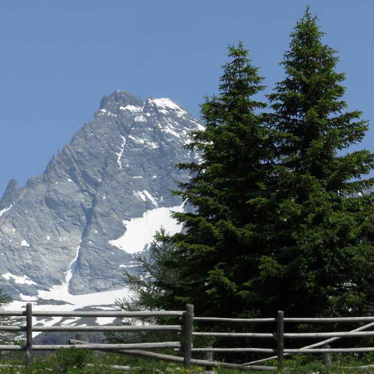 Großglockner