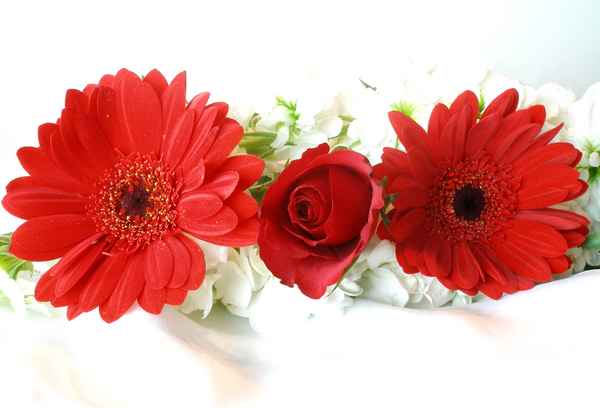 Blumenbouquet