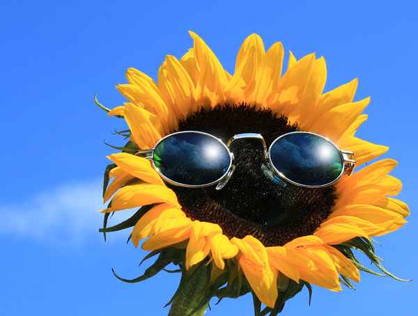 SUNSHINE I