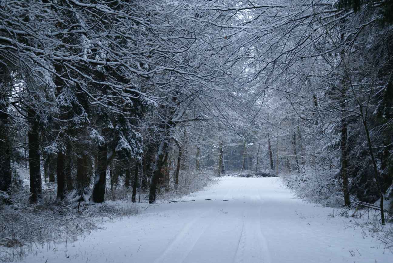  Winter
