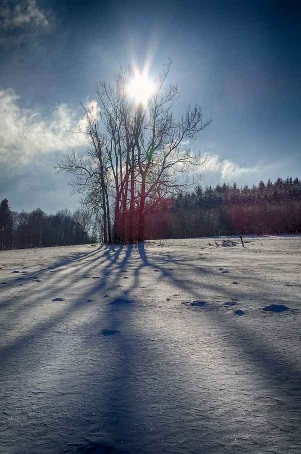 Winterlandschaft